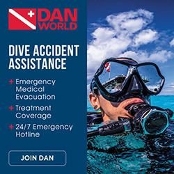 DAN Banner